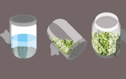 Super Sprouter Germinator -GEAR AID Shop 000142 2