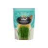 Wheat Organic Sprouting Seeds 100g -GEAR AID Shop 000548