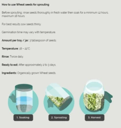 Wheat Organic Sprouting Seeds 100g -GEAR AID Shop 000548 2