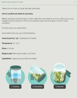 Broccoli Organic Sprouting Seeds 100g -GEAR AID Shop 000555 2