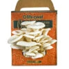 Oyster Mushroom Grow Kit 2 Oyster Mushroom Grow Kit -GEAR AID Shop 401765