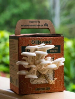 Oyster Mushroom Grow Kit -GEAR AID Shop 401765 2