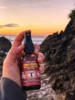 Life Cykel Cordyceps + Lemon Myrtle Mouth Mist 60ml -GEAR AID Shop 8219352 1