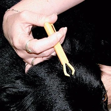 Coghlans Tick Remover 5 Coghlans Tick Remover - Image 3