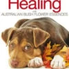 Animal Healing With Australian Bush Flower Essences 2 Animal Healing With Australian Bush Flower Essences -GEAR AID Shop ISBN 13978 1 84409 610 7