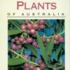 Wild Food Plants Of Australia By Tim Low
