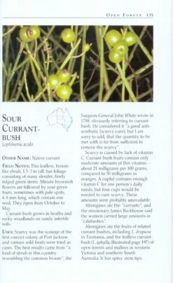 Wild Food Plants Of Australia By Tim Low -GEAR AID Shop ISBN978 0 2071 6930 4 2