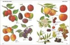 The Self-Sufficient Life And How To Live It - By John Seymour & Alice Waters -GEAR AID Shop ISBN978 1 4654 7735 4 4