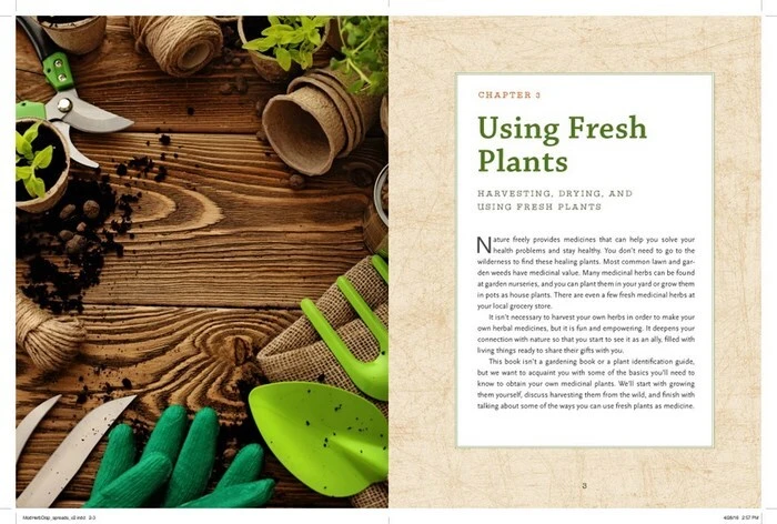 The Modern Herbal Dispensatory By Thomas Easley & Steven Horne 4 The Modern Herbal Dispensatory By Thomas Easley & Steven Horne - Image 2