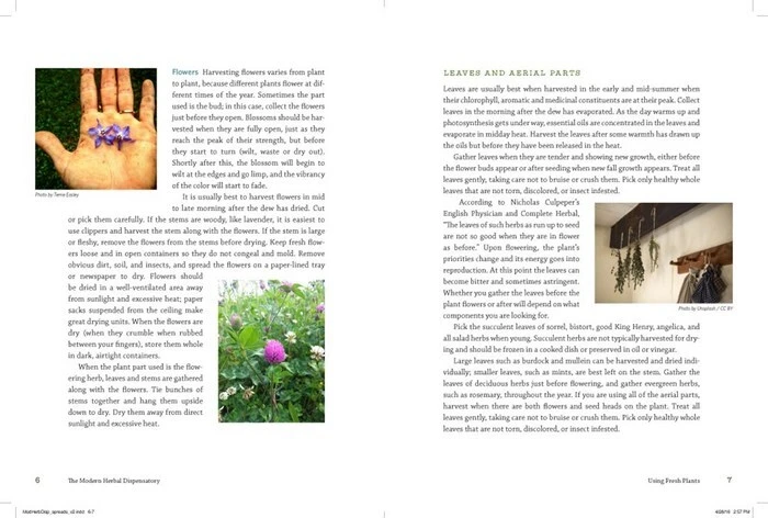 The Modern Herbal Dispensatory By Thomas Easley & Steven Horne 6 The Modern Herbal Dispensatory By Thomas Easley & Steven Horne - Image 4