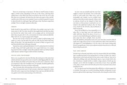 The Modern Herbal Dispensatory By Thomas Easley & Steven Horne 11 The Modern Herbal Dispensatory By Thomas Easley & Steven Horne -GEAR AID Shop ISBN978 1 62317 079 0 4