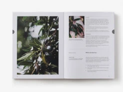 Eat Weeds By Diego Bonetto 9 Eat Weeds By Diego Bonetto -GEAR AID Shop ISBN978 1 760 76376 3 1