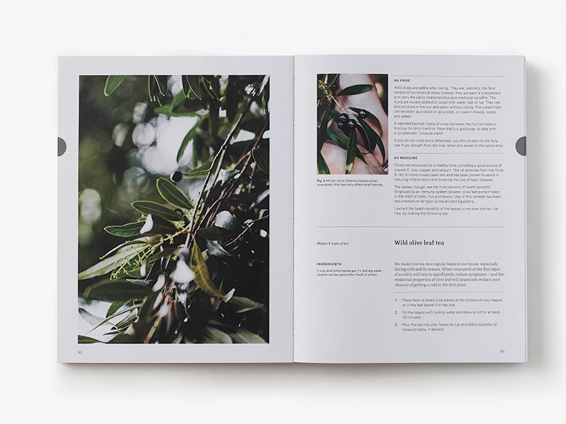 Eat Weeds By Diego Bonetto 4 Eat Weeds By Diego Bonetto - Image 2