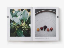 Eat Weeds By Diego Bonetto 10 Eat Weeds By Diego Bonetto -GEAR AID Shop ISBN978 1 760 76376 3 2