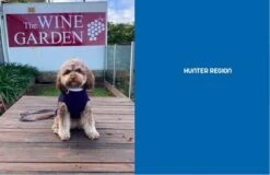 Travelling With Pets On Australia's East Coast 5th Edition -GEAR AID Shop ISBN978 1 925868 34 0 1