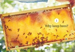 Backyard Bees By Doug Purdie 10 Backyard Bees By Doug Purdie -GEAR AID Shop ISBN978 1922351685 2