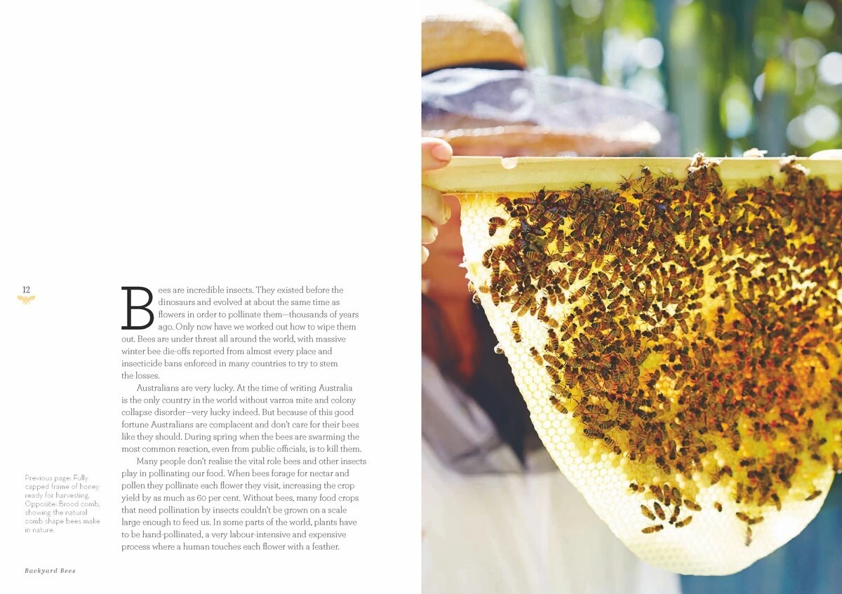 Backyard Bees By Doug Purdie 6 Backyard Bees By Doug Purdie - Image 4