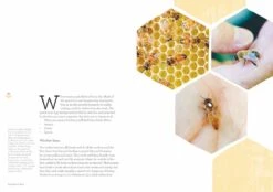 Backyard Bees By Doug Purdie 12 Backyard Bees By Doug Purdie -GEAR AID Shop ISBN978 1922351685 4