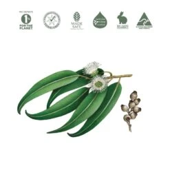 Koala Eco Natural Multi-Purpose Bathroom Cleaner -GEAR AID Shop KC06 1