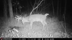 Stealth Cam Fusion Cellular Trail Camera -GEAR AID Shop STC FGLB 3