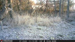 Stealth Cam Fusion Cellular Trail Camera -GEAR AID Shop STC FGLB 4