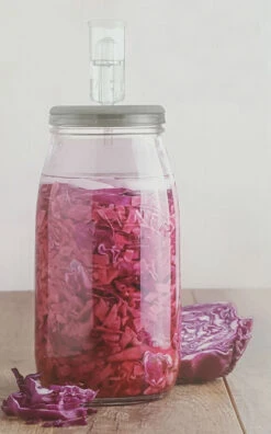 Kilner Fermentation 3.0L Jar Set -GEAR AID Shop sh01796 3